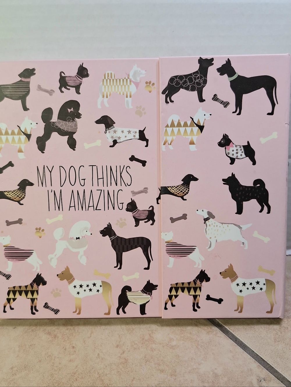 Chasing Baxter 2018 Lula Bijoux My Dog Thinks Im Amazing Trifold Sticky Note Set